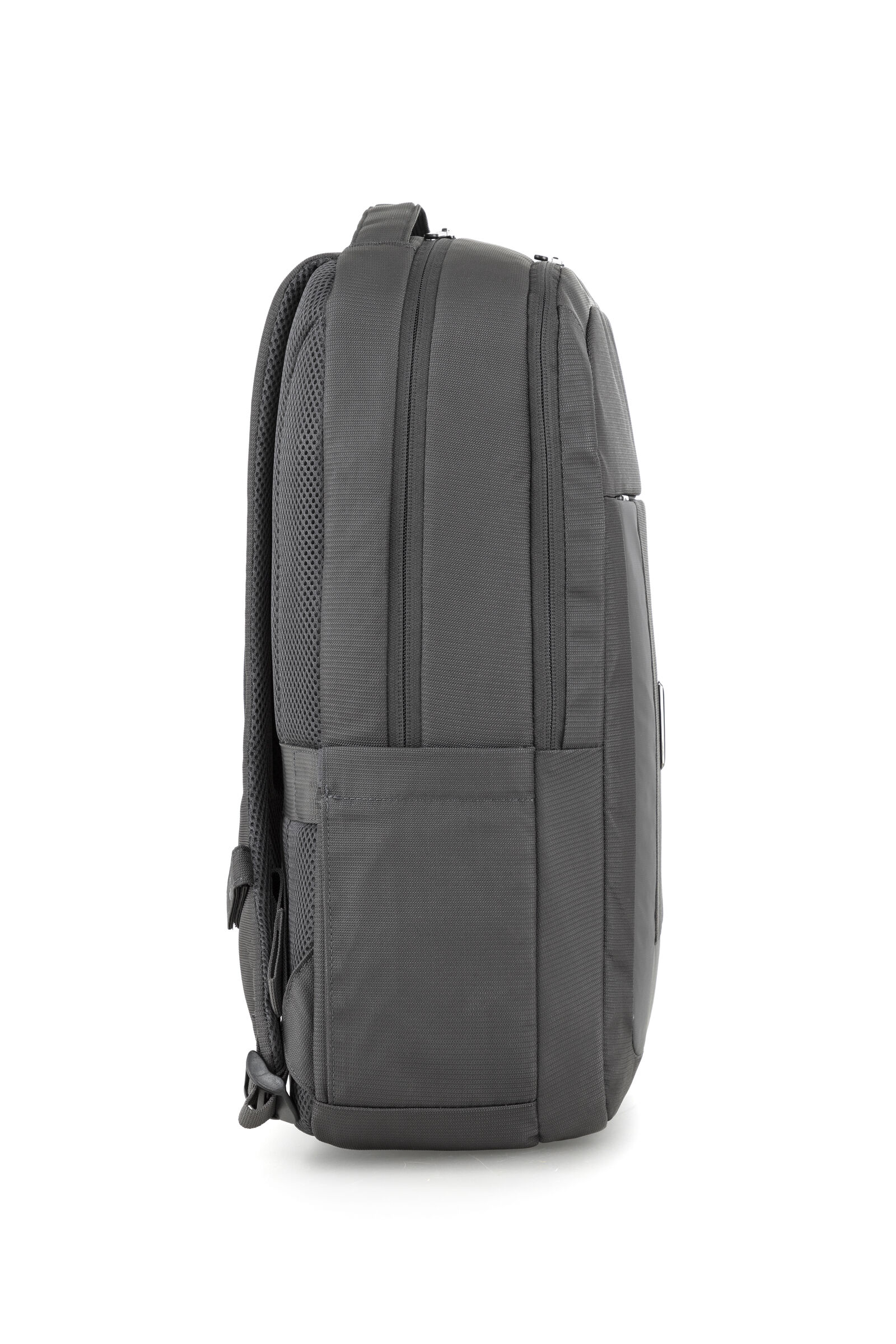 American tourister scholar deals