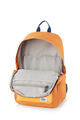 CARTER 背囊 1 AS LAPT  hi-res | American Tourister