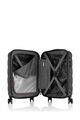FLASHFLUX SPINNER 55/20 TSA  hi-res | American Tourister