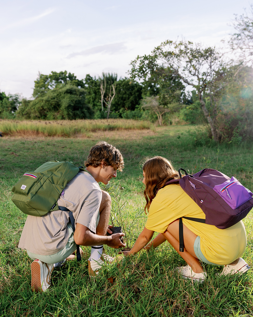 American tourister carter backpack store